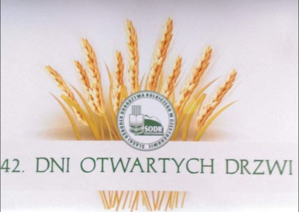 Dni Otwartych Drzwi 2022 (35 kB)